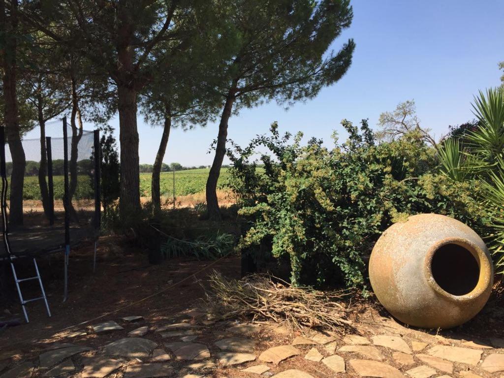 Casa Rural La Navarra ビリャロブレド エクステリア 写真