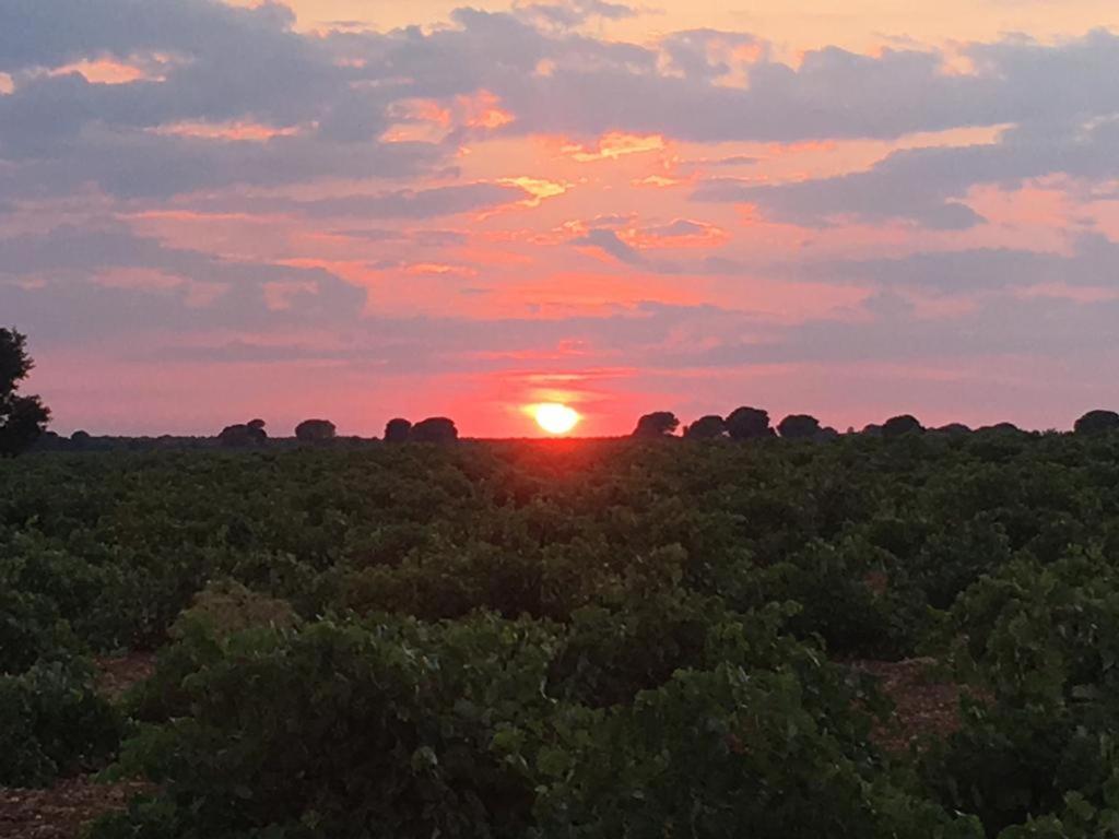 Casa Rural La Navarra ビリャロブレド エクステリア 写真