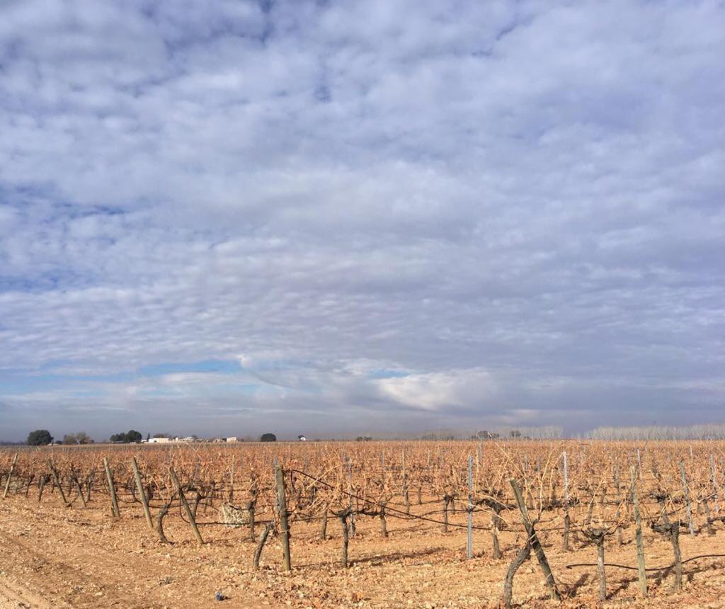 Casa Rural La Navarra ビリャロブレド エクステリア 写真