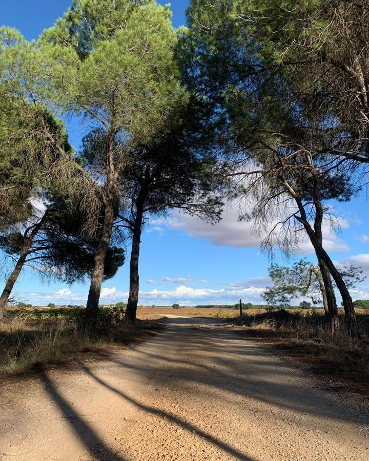 Casa Rural La Navarra ビリャロブレド エクステリア 写真
